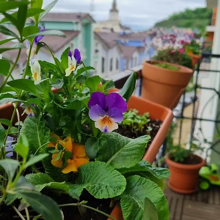 Apartment Jungle