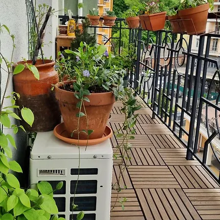 Apartment Jungle *