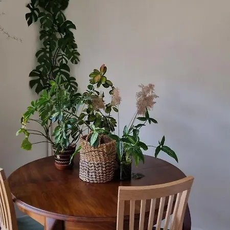 Jungle Apartment Kyiv